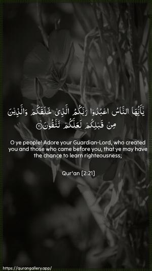 Al-Baqara Ayah 21 - Arabic + English wallpaper