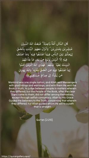 Al-Baqara Ayah 213 - Arabic + English wallpaper
