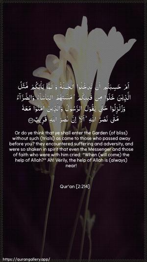 Al-Baqara Ayah 214 - Arabic + English wallpaper