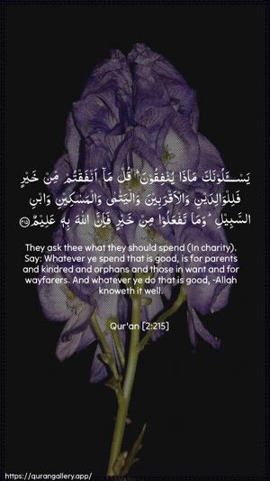 Al-Baqara Ayah 215 - Arabic + English wallpaper