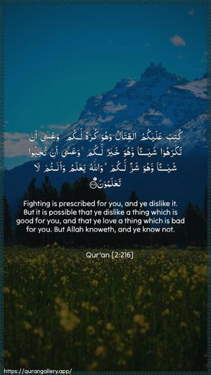 Al-Baqara Ayah 216 - Arabic + English wallpaper