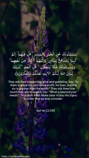 Al-Baqara Ayah 219 - Arabic + English wallpaper