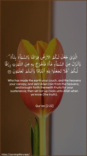 Al-Baqara Ayah 22 - Arabic + English wallpaper