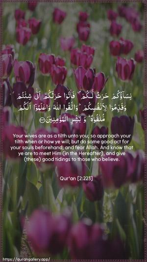 Al-Baqara Ayah 223 - Arabic + English wallpaper