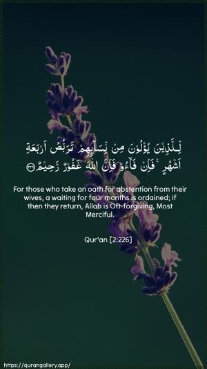 Al-Baqara Ayah 226 - Arabic + English wallpaper