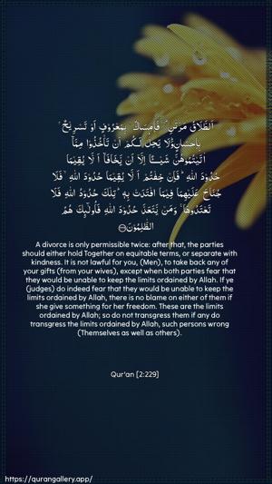 Al-Baqara Ayah 229 - Arabic + English wallpaper
