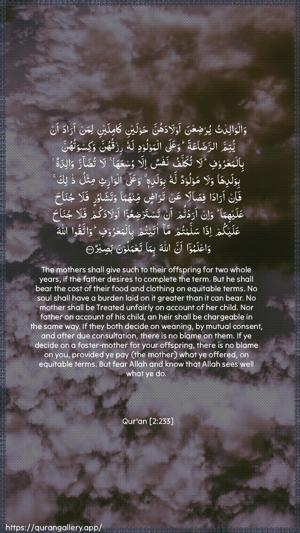 Al-Baqara Ayah 233 - Arabic + English wallpaper
