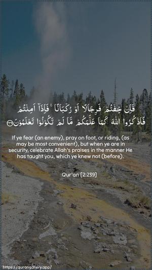 Al-Baqara Ayah 239 - Arabic + English wallpaper