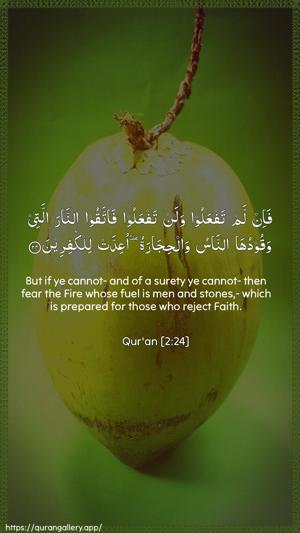 Al-Baqara Ayah 24 - Arabic + English wallpaper