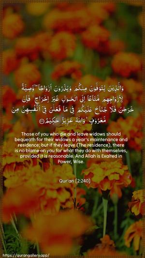 Al-Baqara Ayah 240 - Arabic + English wallpaper