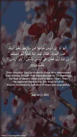 Al-Baqara Ayah 243 - Arabic + English wallpaper