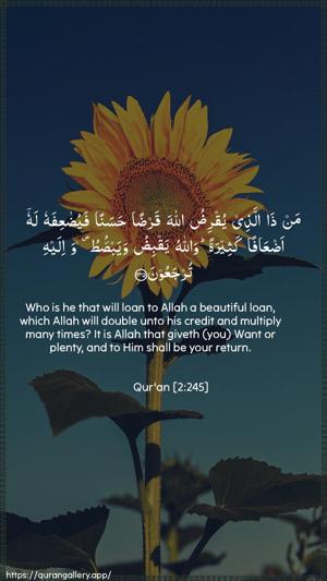 Al-Baqara Ayah 245 - Arabic + English wallpaper