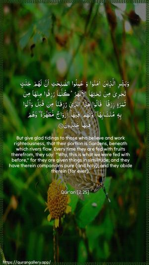Al-Baqara Ayah 25 - Arabic + English wallpaper