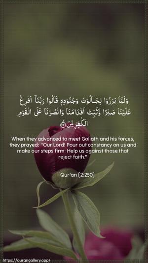 Al-Baqara Ayah 250 - Arabic + English wallpaper
