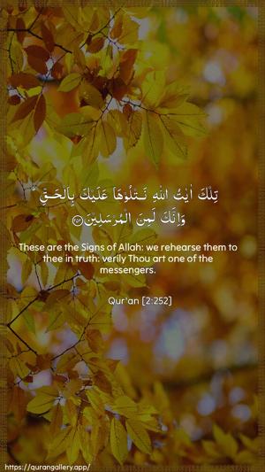 Al-Baqara Ayah 252 - Arabic + English wallpaper