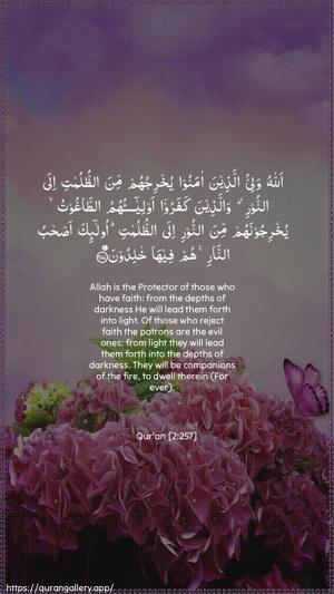 Al-Baqara Ayah 257 - Arabic + English wallpaper