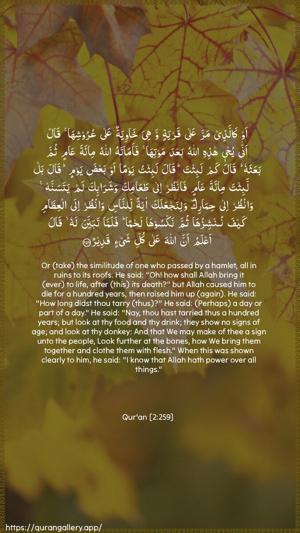 Al-Baqara Ayah 259 - Arabic + English wallpaper