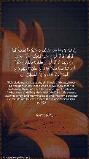 Al-Baqara Ayah 26 - Arabic + English wallpaper