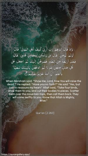 Al-Baqara Ayah 260 - Arabic + English wallpaper