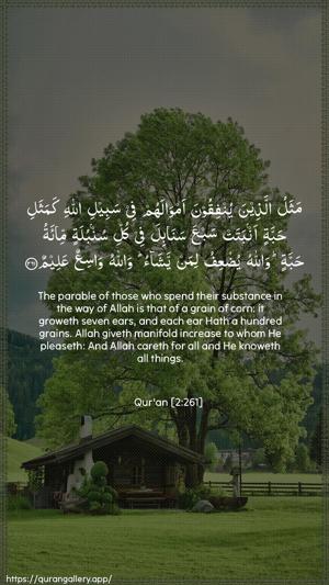 Al-Baqara Ayah 261 - Arabic + English wallpaper