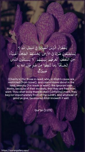 Al-Baqara Ayah 273 - Arabic + English wallpaper