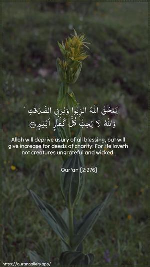 Al-Baqara Ayah 276 - Arabic + English wallpaper