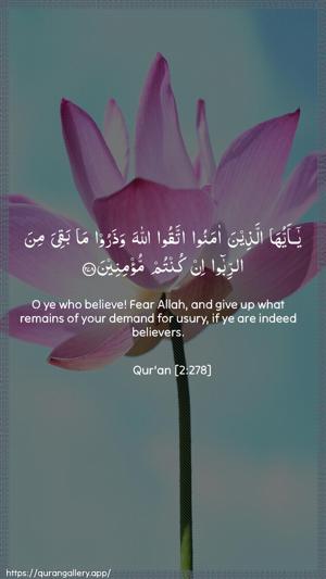 Al-Baqara Ayah 278 - Arabic + English wallpaper