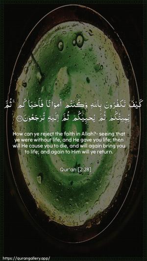 Al-Baqara Ayah 28 - Arabic + English wallpaper