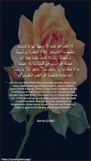 Al-Baqara Ayah 286 - Arabic + English wallpaper