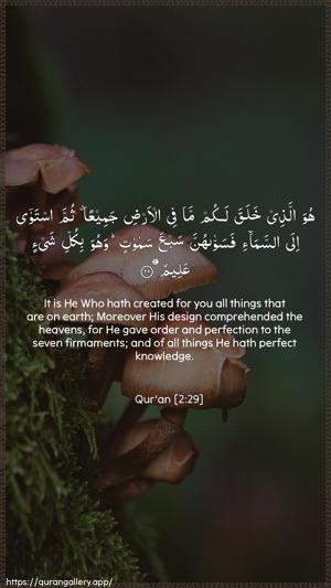 Al-Baqara Ayah 29 - Arabic + English wallpaper