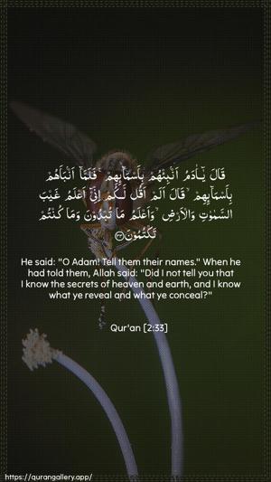 Al-Baqara Ayah 33 - Arabic + English wallpaper