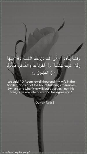 Al-Baqara Ayah 35 - Arabic + English wallpaper