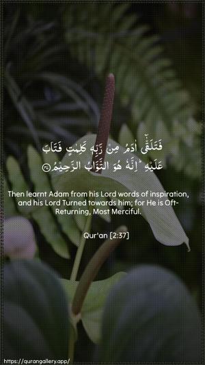 Al-Baqara Ayah 37 - Arabic + English wallpaper