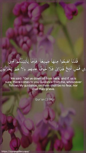 Al-Baqara Ayah 38 - Arabic + English wallpaper
