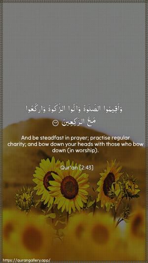 Al-Baqara Ayah 43 - Arabic + English wallpaper