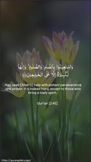 Al-Baqara Ayah 45 - Arabic + English wallpaper