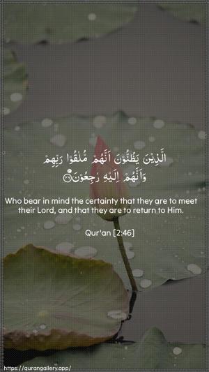 Al-Baqara Ayah 46 - Arabic + English wallpaper