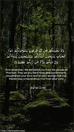 Al-Baqara Ayah 49 - Arabic + English wallpaper