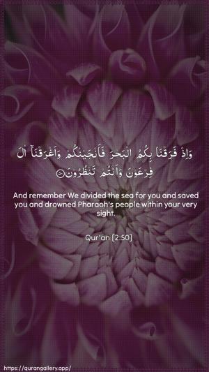 Al-Baqara Ayah 50 - Arabic + English wallpaper