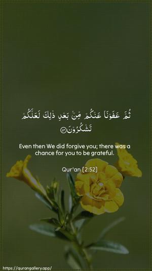 Al-Baqara Ayah 52 - Arabic + English wallpaper