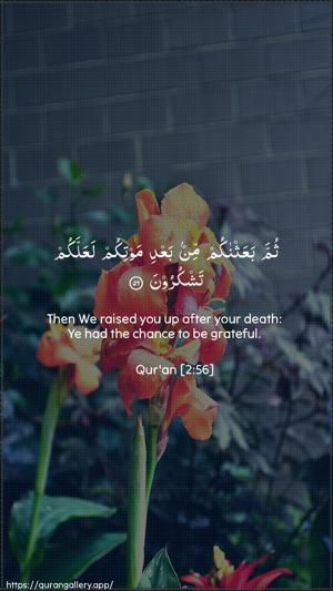 Al-Baqara Ayah 56 - Arabic + English wallpaper