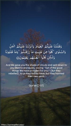 Al-Baqara Ayah 57 - Arabic + English wallpaper