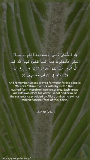 Al-Baqara Ayah 60 - Arabic + English wallpaper