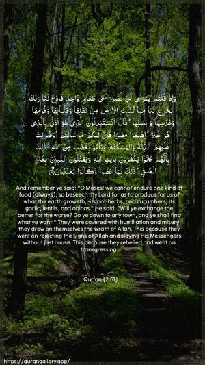 Al-Baqara Ayah 61 - Arabic + English wallpaper