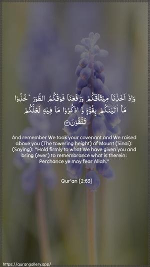 Al-Baqara Ayah 63 - Arabic + English wallpaper