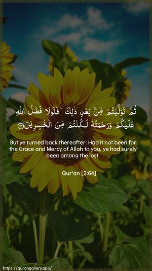 Al-Baqara Ayah 64 - Arabic + English wallpaper