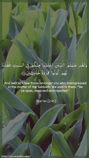 Al-Baqara Ayah 65 - Arabic + English wallpaper