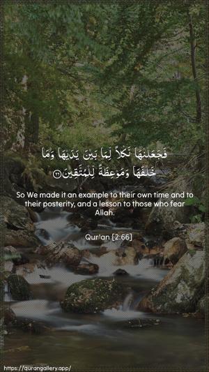 Al-Baqara Ayah 66 - Arabic + English wallpaper