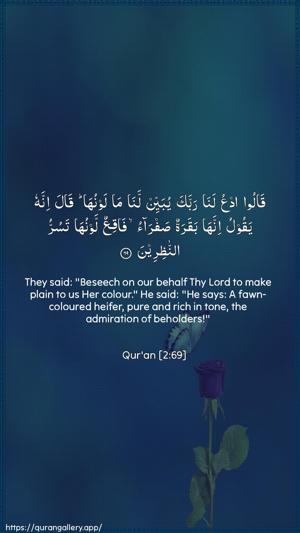 Al-Baqara Ayah 69 - Arabic + English wallpaper
