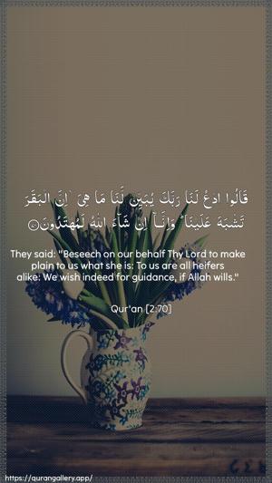 Al-Baqara Ayah 70 - Arabic + English wallpaper